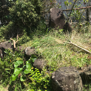 庭石・石灯籠・植木鉢※引き取りに来ていただける方のみ
