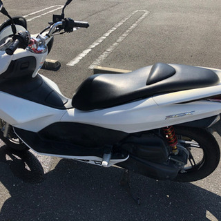 PCX125 JF28 23354km 白　ワンオーナーの画像