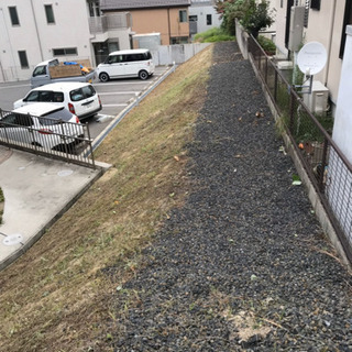 業務委託、請負、剪定、草刈り！害虫駆除をこなせる方大募集です。の画像