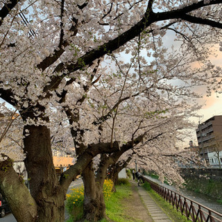 こんな時だからこそ皆でトークで盛り上がろう😊 - 京都市