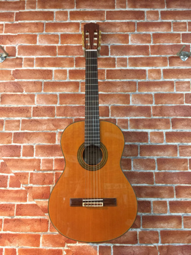 ありがとうございます♪【売れました！】アリアガットギター A-20  新品