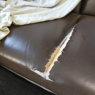 難あり　ソファベッド　ブラウンの画像