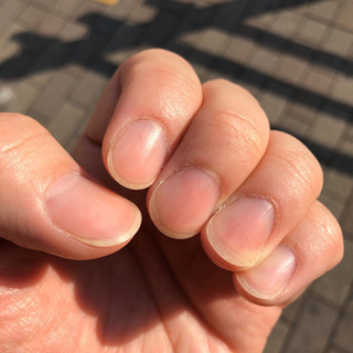 ネイル(ポリッシュ・ジェル) の練習台としてどうぞ