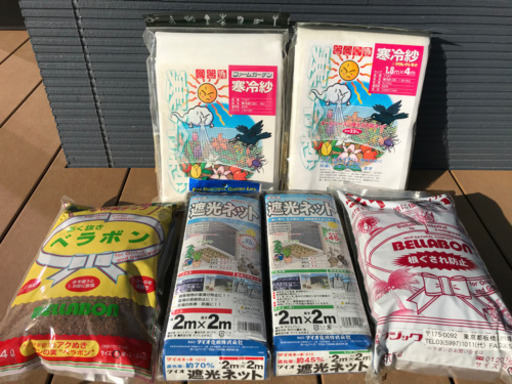 お家で、春蘭を育ててみませんか？