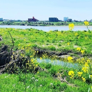 🏃‍♂️ランニングメンバー募集中【20代限定】🌸 - スポーツ