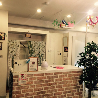 4月5日日曜日  全メニュー2000円オフキャンペーン🎉🎉