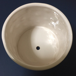 おしゃれな植木鉢の画像