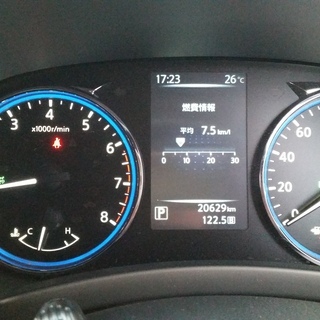 ★エルグランド ELGRAND DBA-TNE52 250ハイウェイスターCVT-M6 寒冷地仕様　4WD　走行:20,629㎞の画像
