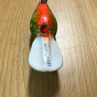 ウイグルワートの画像