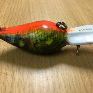 ウイグルワートの画像