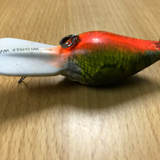 ウイグルワートの画像