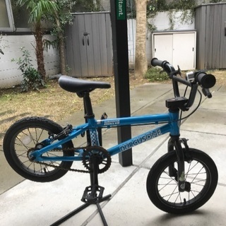 Durcus one RECTUS 14