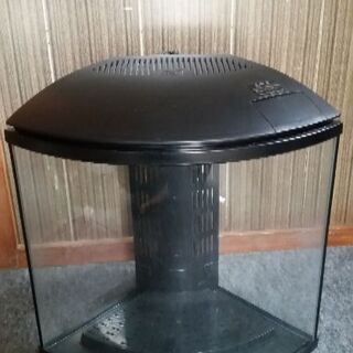 オプティオ小型のガラス水槽