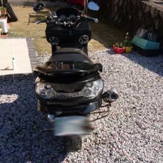 スカイウェイブ250  cj44aの画像