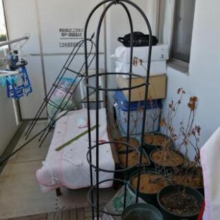 スモールオベリスク