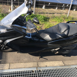 マジェスティ 4d9 SG20Jの画像