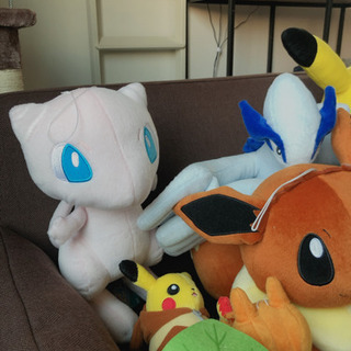 新品タグ付き ポケモン ぬいぐるみ 1個500円の画像