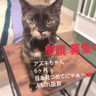決まりました☆