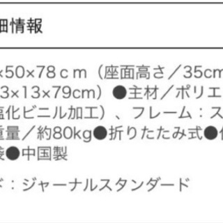 ジャーナルスタンダード ラウンジチェアの画像