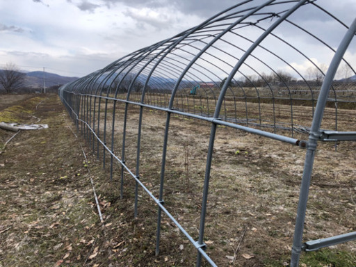 ハウス骨組み譲ります