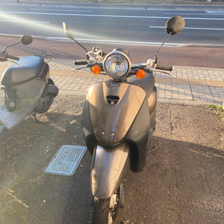 原付ホンダ Today の画像
