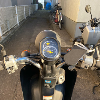 原付ホンダ Today の画像
