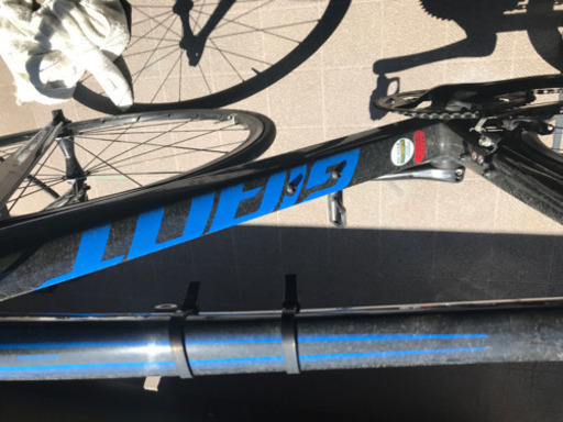 ジャイアントTCR