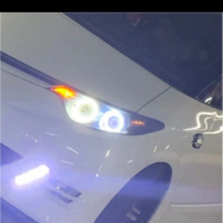 エスティマ イカリングの画像