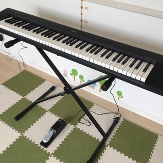 NP30の中古が安い！激安で譲ります・無料であげます｜ジモティー