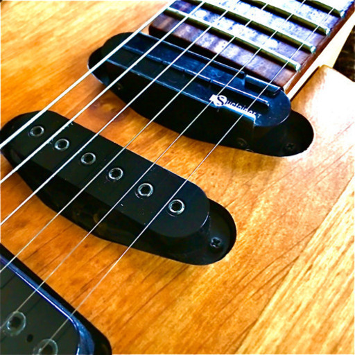 フェルナンデスAPG 85 サスティナー搭載。