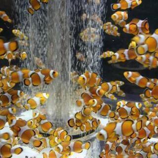 水族館好きな人🐠🐧 - 友達