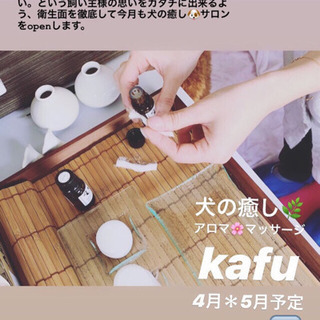 【4月5月予約受付中】ストレスケア🌸ドッグマッサージ