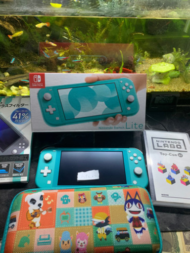 ニンテンドーSwitch lightその他