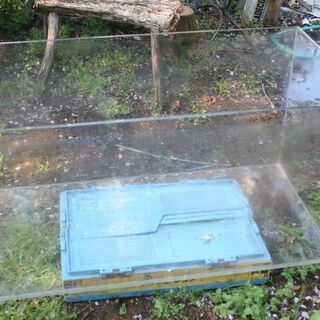 90cmガラスの水槽