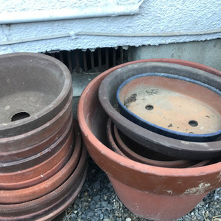 植木鉢　20個ほどの画像