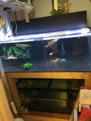 特注アクリル水槽（1,200×750×450）セット