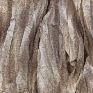 ★ 5351プールオム・Tシャツ★の画像