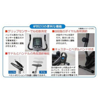 現在商談中【訳あり品】アルインコ エアロマグネティックバイク AFB5213 専用マット・サドルカバー付きの画像