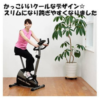 現在商談中【訳あり品】アルインコ エアロマグネティックバイク AFB5213 専用マット・サドルカバー付きの画像