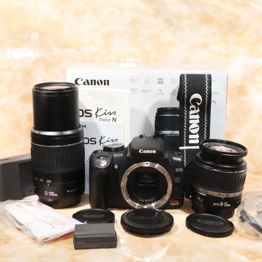 ★極上美品＆元箱付き★キヤノン Canon kiss N ダブルズームキット