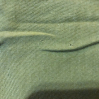 【値引き】★ポールスミス・Tシャツ★ ライトグリーン フリーサイズの画像