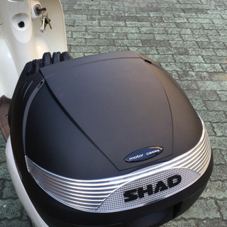shad sh29