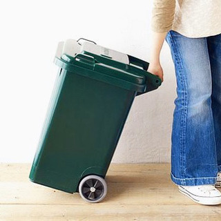 【DULTON】ダストボックス 45リットルの画像