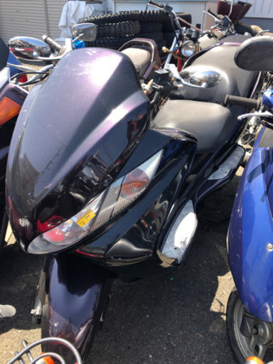 SUZUKI スカイウェブ250 CJ43