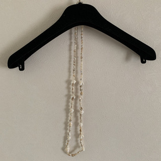 貝殻のネックレスの画像