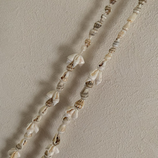 貝殻のネックレスの画像