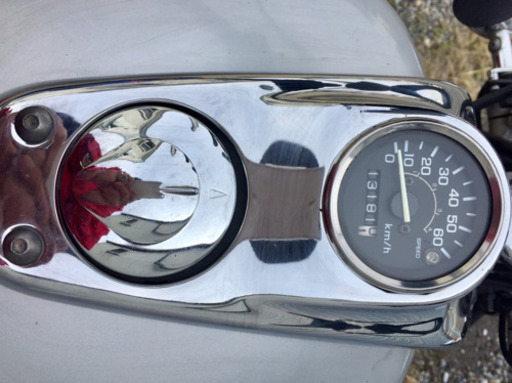 ●引取先が決まりました｜マグナ フィフティー