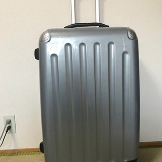 キャリーバック