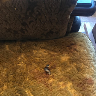 カリモク 3人がけソファの画像