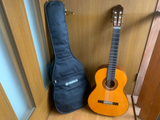 ゼンオン　ギター　ソフトカバー＆おまけ付き